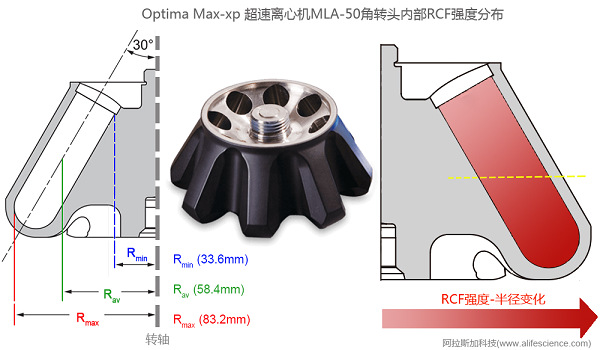 Optima Max-xp超速離心機MLA-50角轉頭內部RCF分布示意圖.jpg