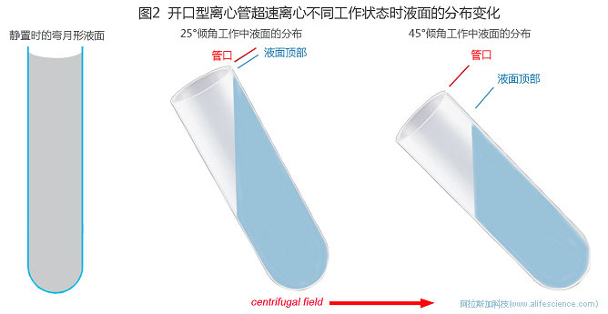 Optima XE-90超速離心機type 70 Ti角轉(zhuǎn)頭適配38.5mL薄壁開口管344367工作示意圖.jpg