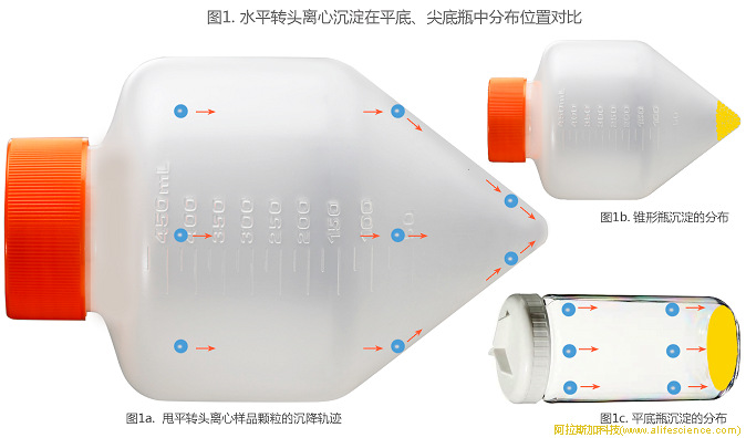 圖1. 水平轉(zhuǎn)頭離心沉淀在平底、尖底瓶中分布位置對比.jpg