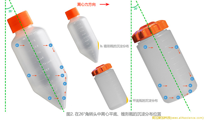 圖2.角轉(zhuǎn)頭中離心平底、錐形瓶的沉淀分布位置.jpg