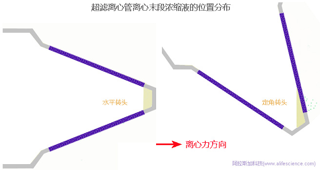 超濾離心管在不同轉(zhuǎn)頭中離心后濃縮液體積差異產(chǎn)生原理圖.jpg